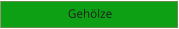 Gehölze