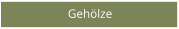 Gehölze