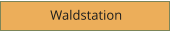 Waldstation