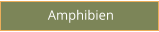 Amphibien