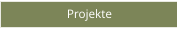 Projekte