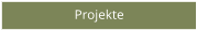 Projekte